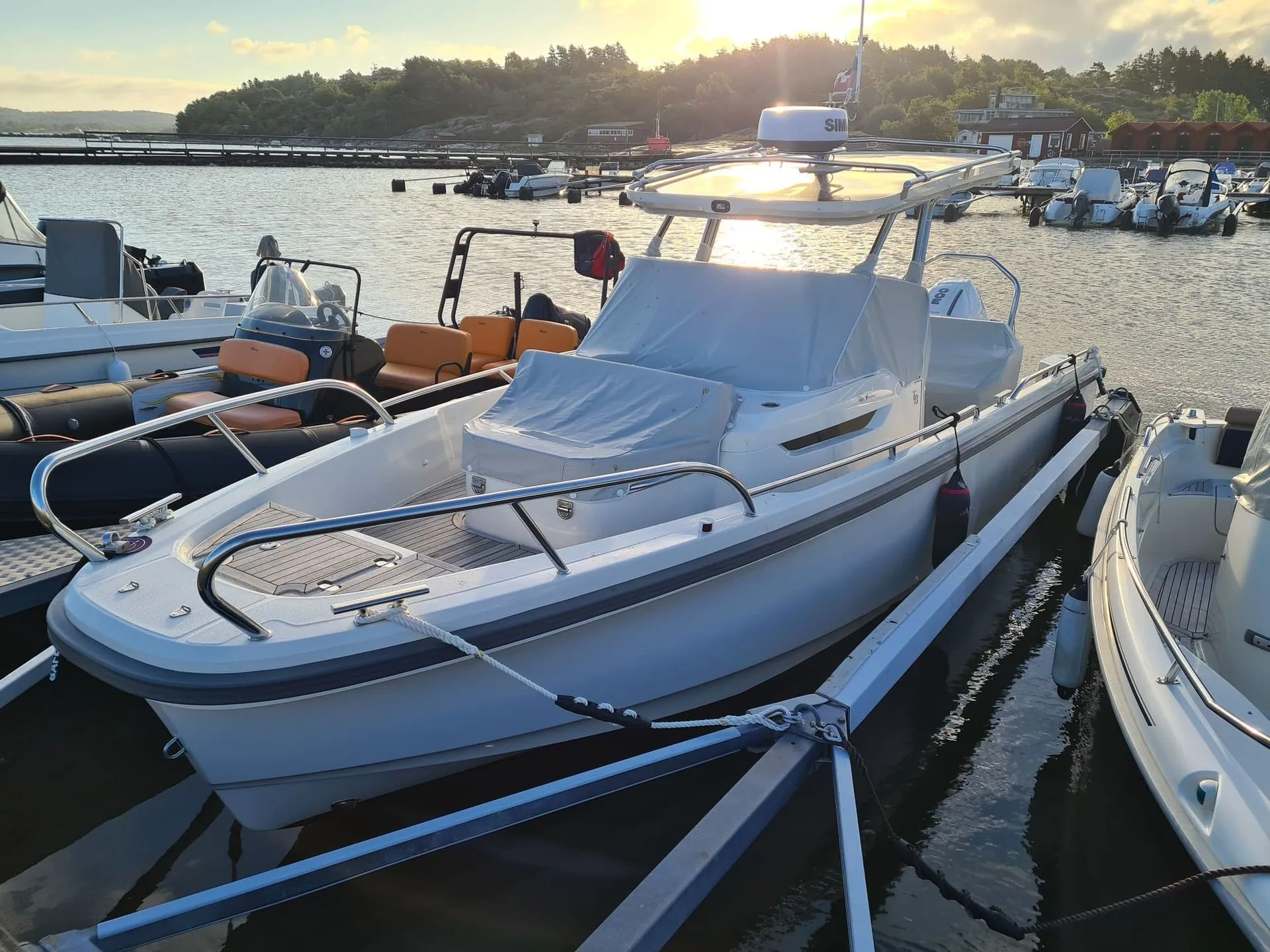 Multiple recreational powerboats moored at marina dock in calm water during golden hour.