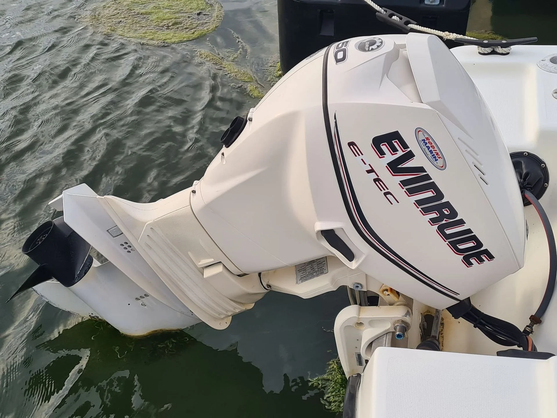 Outboard motor mounted on recreational powerboat docked in Cape Coral canal with algae-covered water.